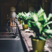 Hotel Booking Expert